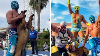 Perro se roba función de lucha libre en Ixtapaluca y termina ovacionado con los luchadores en el ring: video conquista las redes sociales