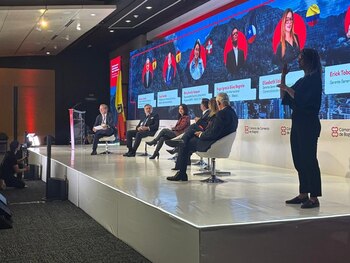 Imagen IHBS2IAVNNHULGKGPFTEWBEDNA