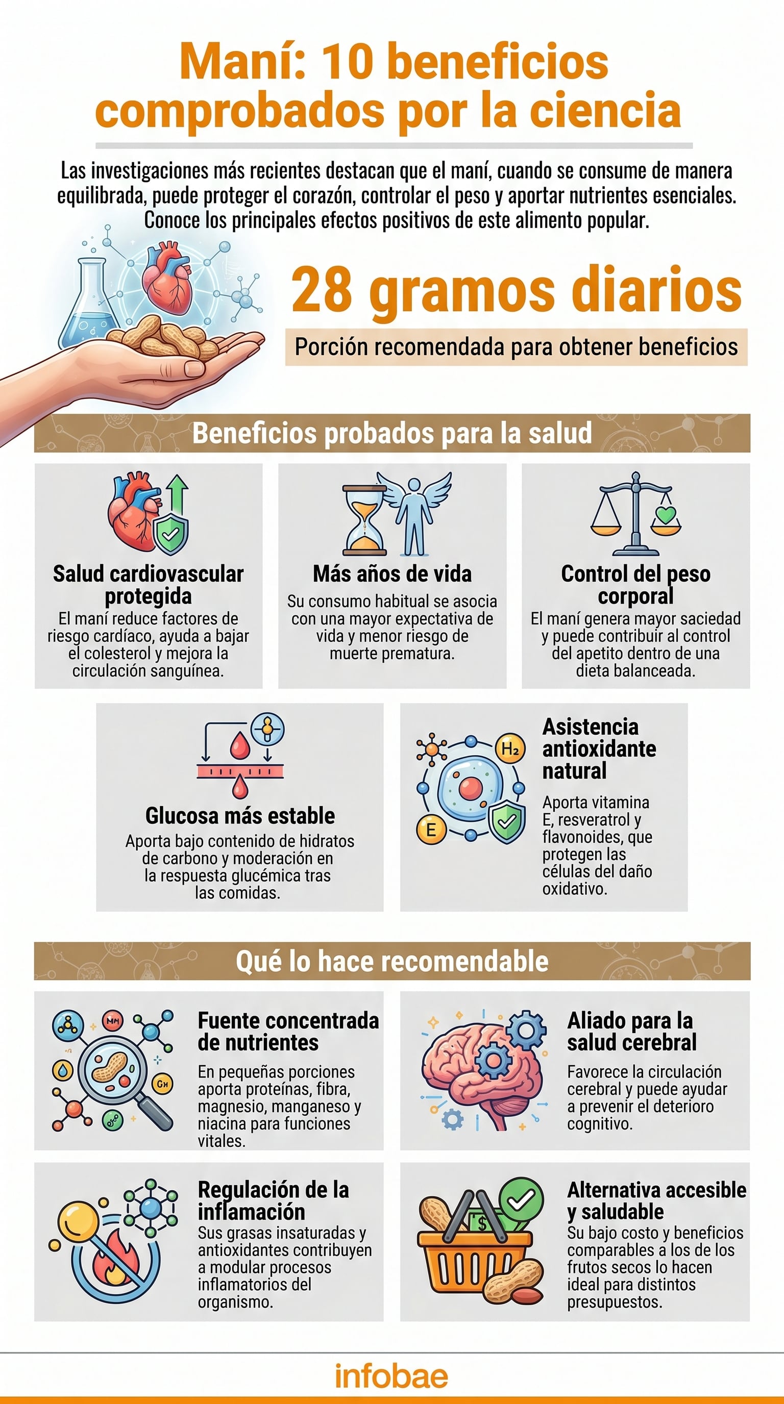 Diversos estudios asocian el consumo frecuente de maní con una mayor longevidad y menor riesgo de muerte por enfermedades crónicas (Imagen Ilustrativa Infobae)
