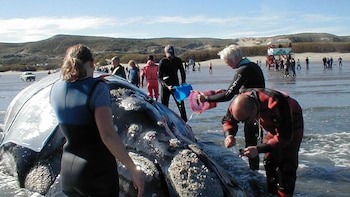 Hoy se celebra el Día