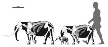 Una vida tranquila, el secreto