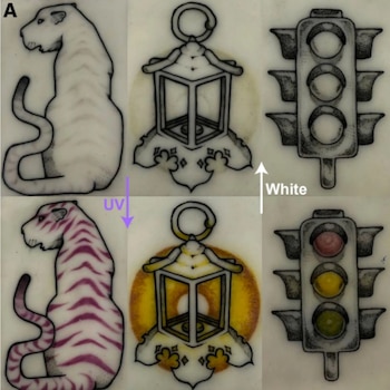 Dos filas de tres gráficos que comparan un tigre, un farol y un semáforo en blanco y negro frente a su versión con colores