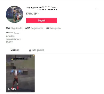 Varios perfiles en TikTok mantienen
