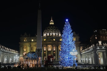 Un abeto del valle de