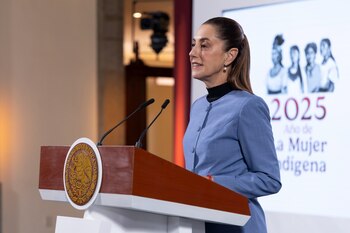 La mandataria lamentó el hecho