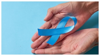 Desde 2011 aumentan un 5