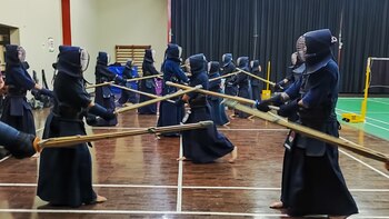 Entrenamiento conjunto de varios dojos