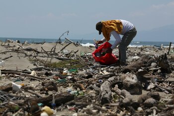 En el estudio se analizaron