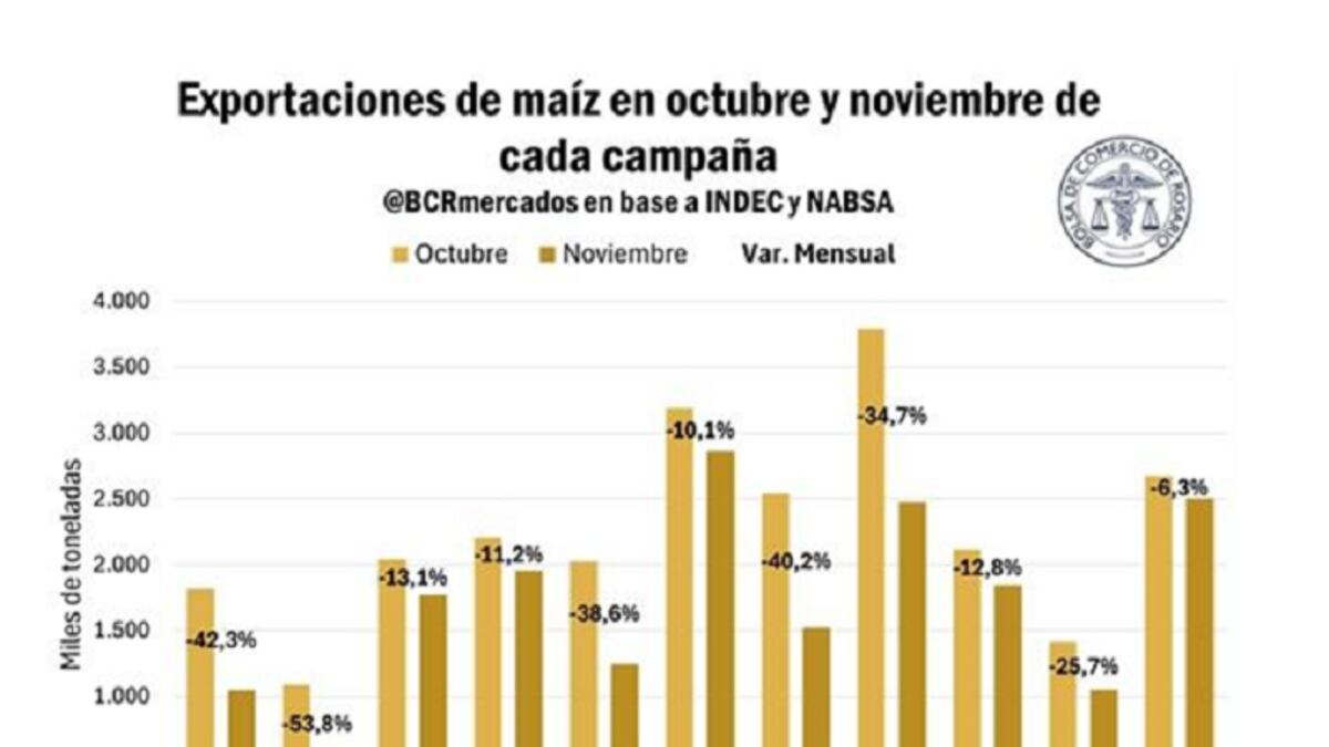 Noviembre de 2024 registró un récord de declaraciones juradas de venta al exterior de maíz de la campaña 2023/24 y sería el segundo con mayor volumen de ventas al exterior (BCR)