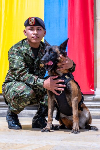 La madre del perro recibió