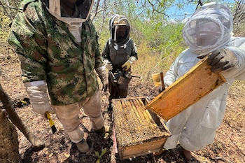 Fotografía cedida por la investigadora