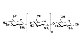 Científicos de la UNAM buscan