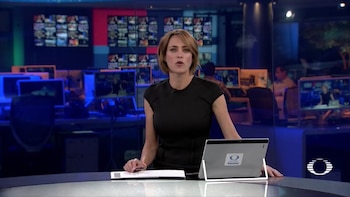 Ana Francisca también es consultora