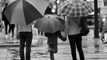 Desde el comienzo del siglo