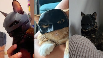 Colocar cascos fabricados con impresora