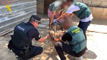 La Guardia Civil detiene a