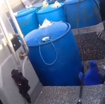 La embarcación llevaba unos tanques