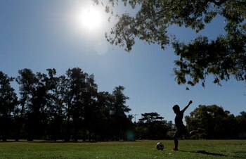 Farber dice que los tipos