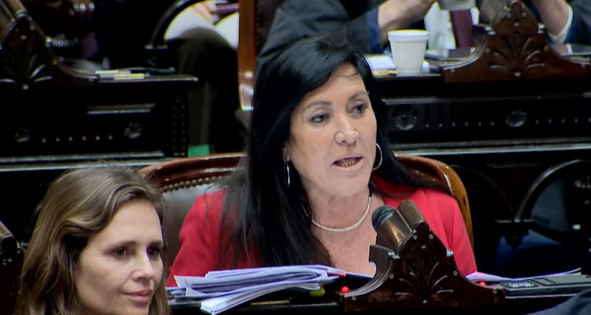 La diputada libertaria sostuvo que es necesario trabajar en conjunto y con responsabilidad fiscal para garantizar los derechos de las personas con discapacidad