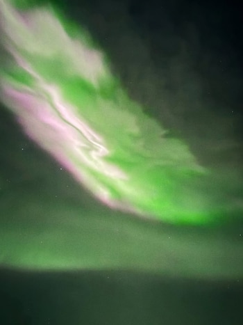 En sus primeros días tuvieron