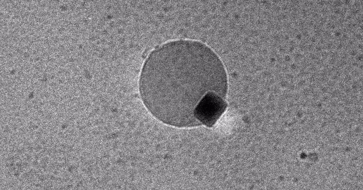 Primera observación de formación de agua a escala molecular - Infobae