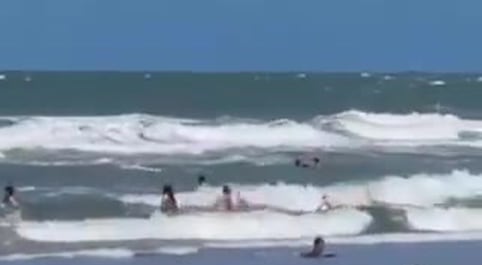 Guardavidas de Mar del Plata rescataron a tres menores que se ahogaban en el mar