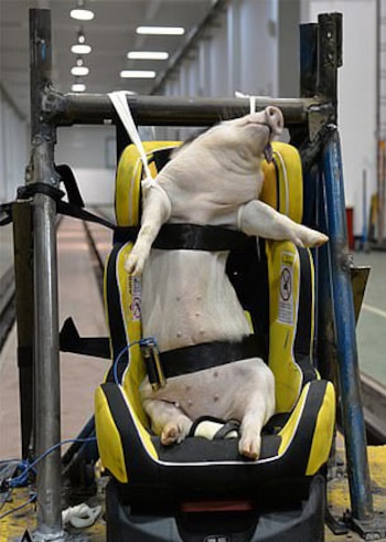 (International Journal of Crashworthiness)