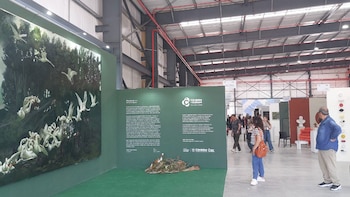 Mercado Arte Contemporáneo - MAC - Córdoba - 2026
