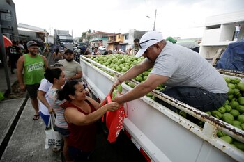El chayote es una fruta