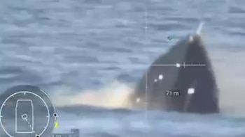 Ucrania informa de su victoria en la primera batalla naval de la historia entre drones