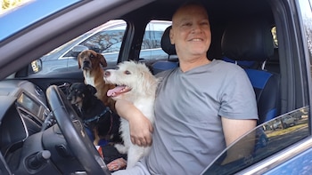 Tony, el último perro sin adoptar de Leandro Rud, sigue esperando una nueva familia: “Merece un hogar para siempre”