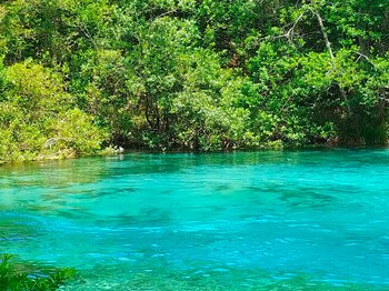 Ichetucknee Springs en Fort White,