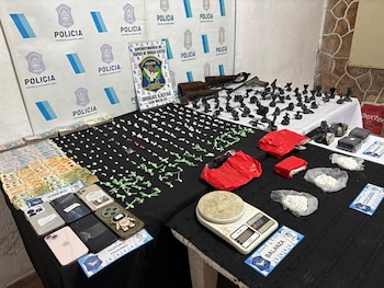Las drogas incautadas durante los procedimientos