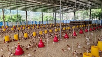 La empresa donde ocurrió el