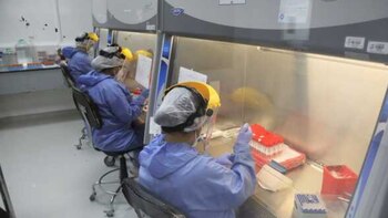 Científicos siguen realizando estudios.