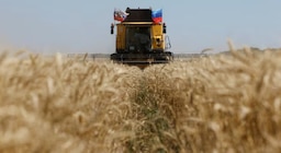 El factor externo que limita el ingreso de dólares del campo pese a la cosecha récord de trigo