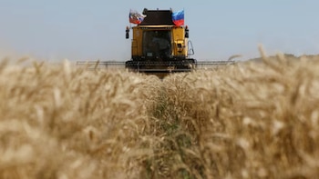 El factor externo que limita