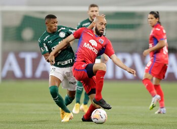 Palmeiras y Tigre se enfrentaron