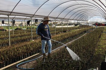 Xochimilco, Ciudad de México, 25