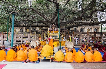 Monjes con túnicas amarillas sentados frente a un altar y tambores ceremoniales bajo un gran árbol junto a un templo de piedra