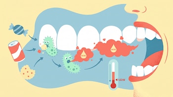 La frecuencia del consumo de azúcar se destaca como el principal factor de riesgo para la caries