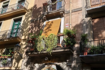 Edificio con múltiples balcones y ventanas. Los balcones tienen barandillas de hierro y están decorados con plantas en macetas y colgantes. Un toldo cubre una ventana