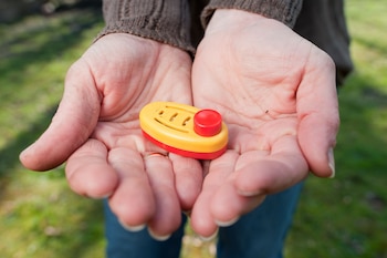 ARCHIVO - Para el entrenamiento de las aves se requiere un clicker, un pequeño aparato que emite un sonido de "clic" para anticipar la recompensa. Foto: Klaus-Dietmar Gabbert/dpa