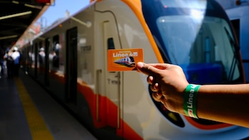 La Línea 4 del transporte