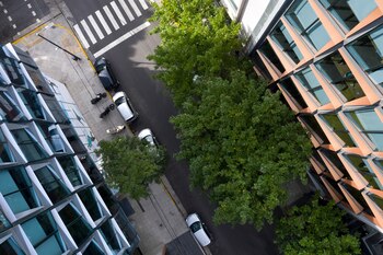 Las fachadas remarcadas por una