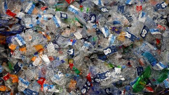 Utilizar hongos como envases: el