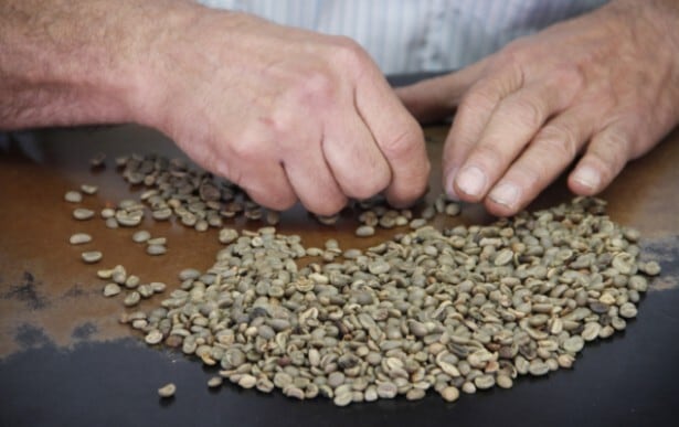 La Federación Nacional de Cafeteros cuestionó una tarifa de $4.235 por tonelada transportada y pidió a la Alcaldía revisar sus efectos sobre la competitividad del comercio exterior - crédito Colprensa