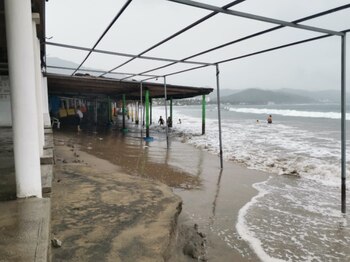 Colima, Jalisco, Nayarit y Sinaloa