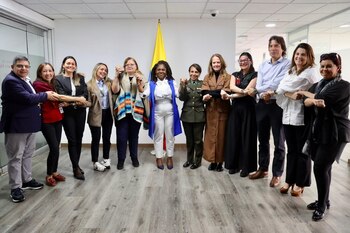 La vicepresidencia confirmó la vinculación