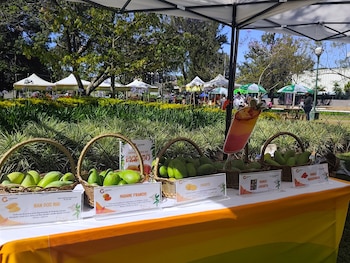 Puesto morado y rosa de Tajín Dulce con una vendedora sonriente, mostrando productos y una imagen de mango con chile en un festival al aire libre